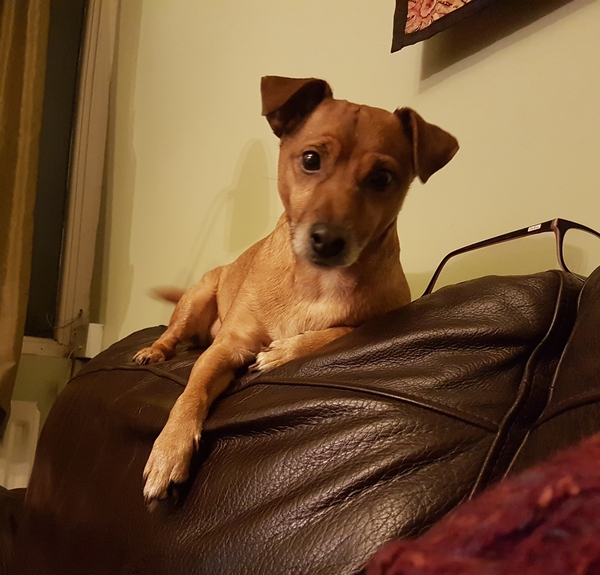 Let’s share photos of our beloved pets!!