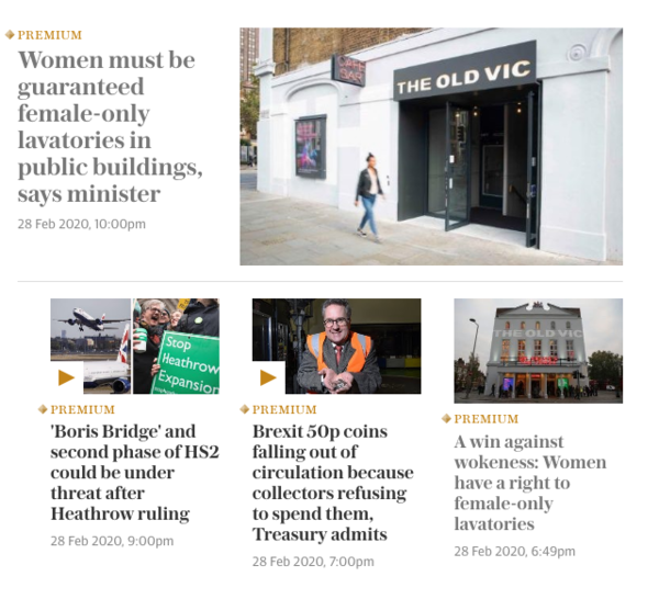 Telegraph article on women's loos