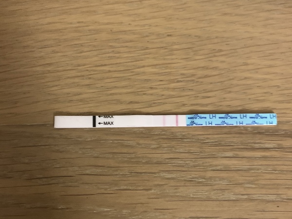Am I going into ovulation ? ( pic attached )