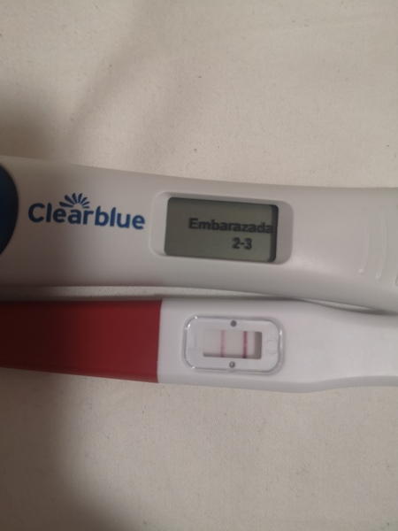 Pregnant after loss and dreaming of rainbows....