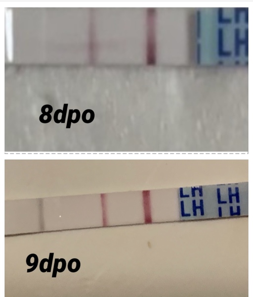 Anyone got positives on opk’s in 2ww and was indeed pregnant?