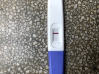 TWW Jan/Feb 2020