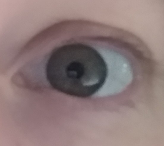 What colour are my eyes? (Photo attached)