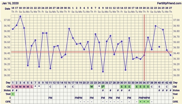BBT chart opinions, Have I ovulated?