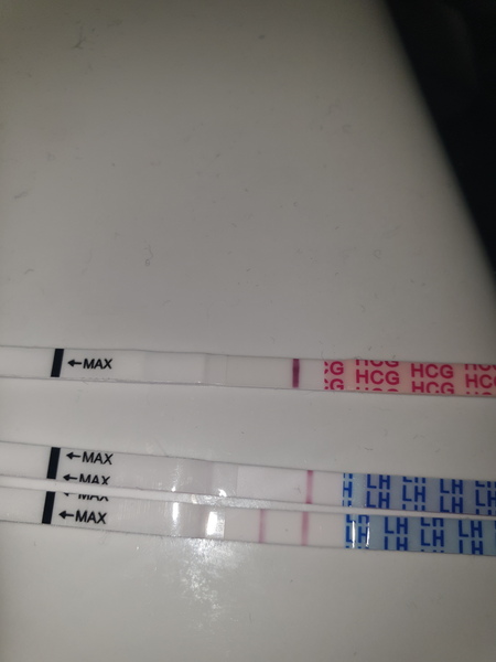 Experienced help please