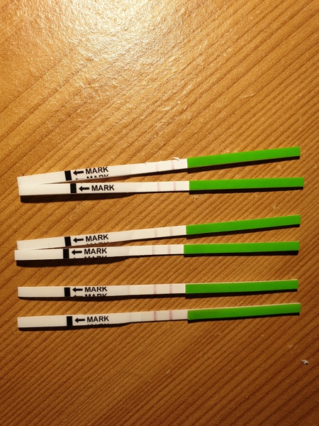 3 days of positive opks HELP?