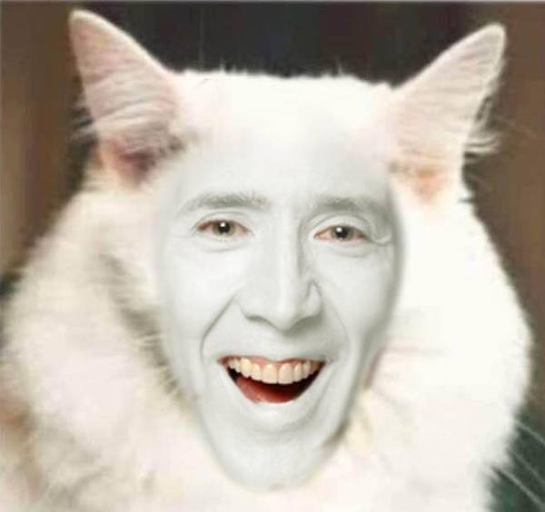 Westministenders: No Australia Don't Have A Deal