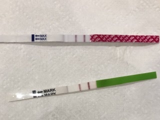TTC after miscarriage - February 2020