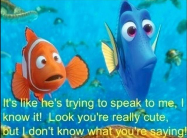 14.02.20 Live updates on Harry and Kate’s cases HERE