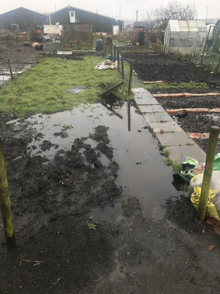 Is the amount of rain we've had bothering anyone else?