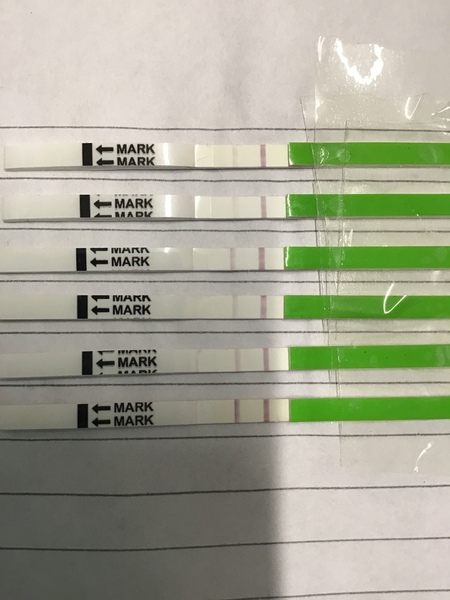 What do we think of this OPK, positive??