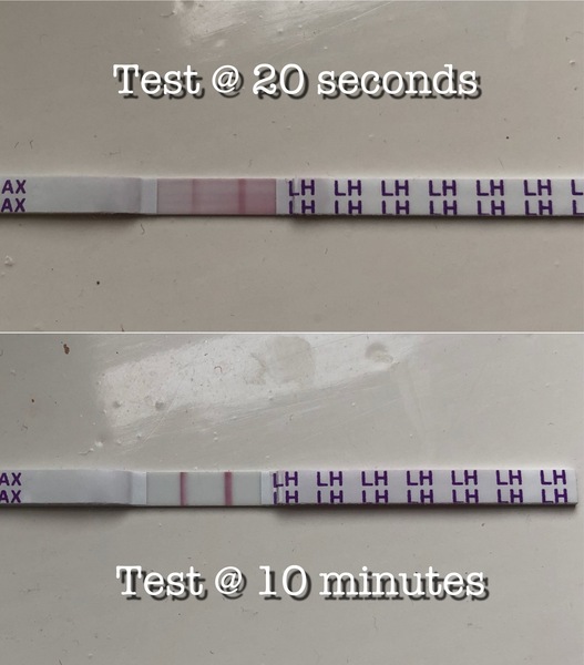 TTC after miscarriage - February 2020
