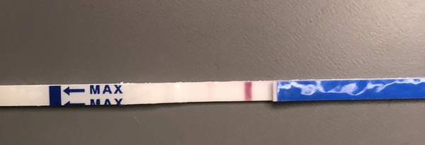 TWW Jan/Feb 2020