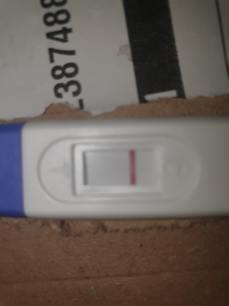 Coming off the pill to conceive