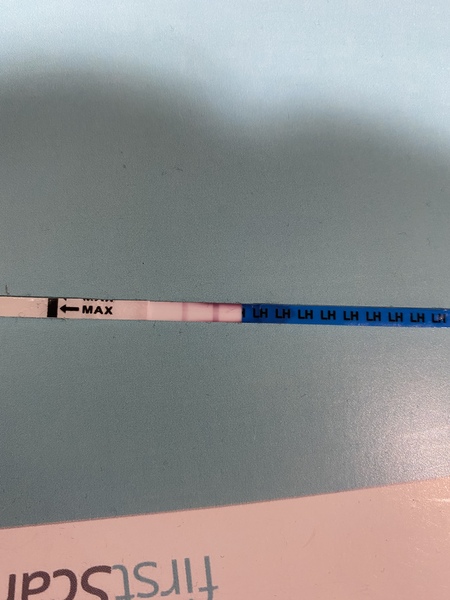 Ovulation strip cheapie is this positive??