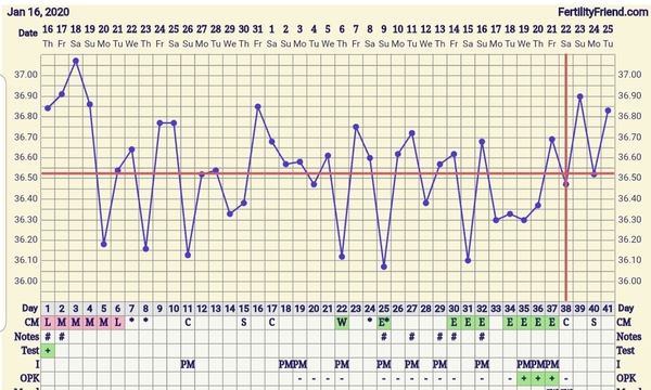 Trying to conceive first child with PCO/PCOS or irregular long cycles