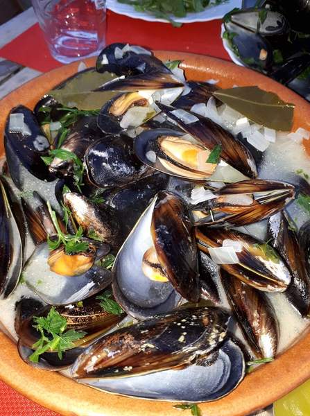 Mussels