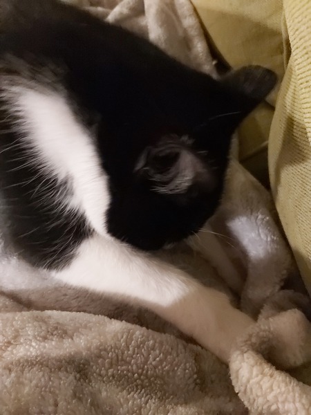 Can any one explain my boy's behaviour?