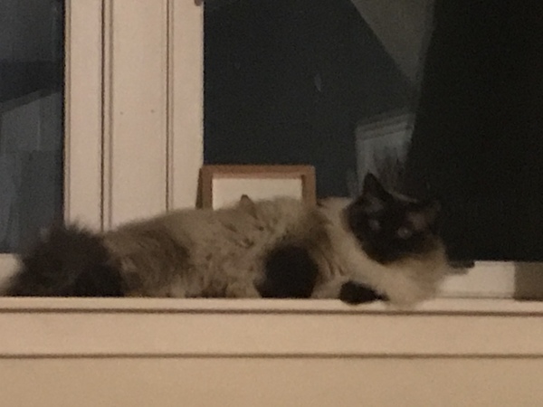 It is one o clock in the morning, I need the night shift to mind my worries whilst I sleep....