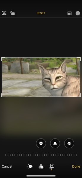 Can the power of MN help me find this picture?