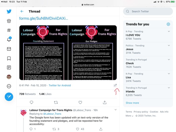 Labour Campaign for Trans Rights: A Feminist purge?