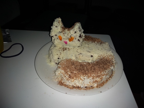 OMG I am a genius. Kitten/Cat Reveal Parties...
