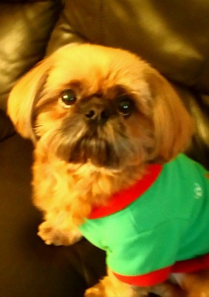 Show Us Your Pets!