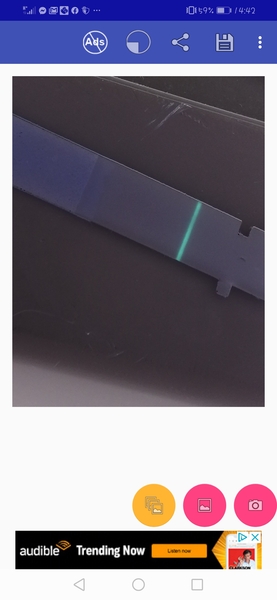 11dpo and BFN