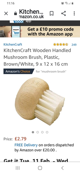 Things you assumed were normal