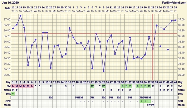 Trying to conceive first child with PCO/PCOS or irregular long cycles