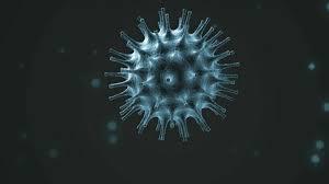 AIBU to be a bit surprised that nobody in my RL seems to be bothered about coronavirus?