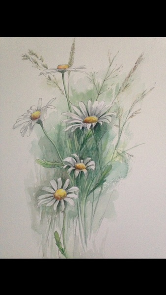 Daisies - is this ‘commercial’ enough to sell?