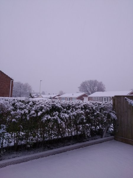 Frugaleers talk food/fitness & weigh t loss - 2020 part 1