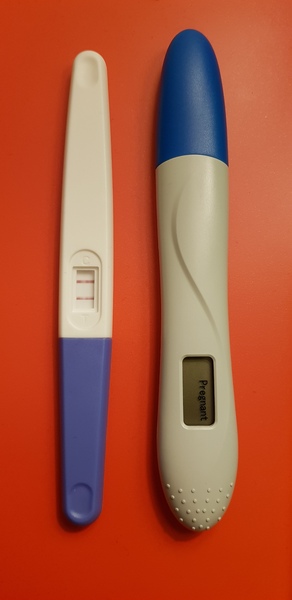 TWW Jan/Feb 2020
