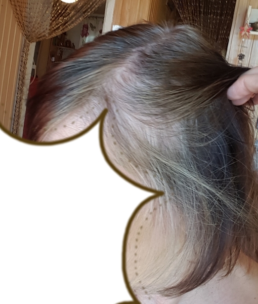 Which box dye for going from brown to funky grey/blonde TOMORROW? Pic attached