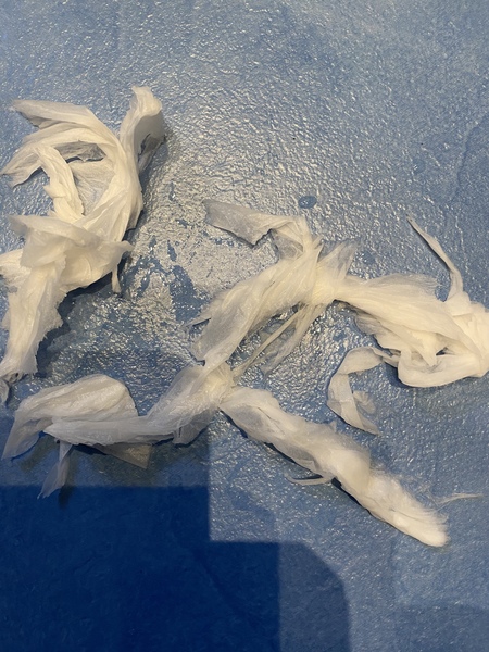 See what MNers thought of Cushelle Facial tissues (reported to not fall apart in the wash!)