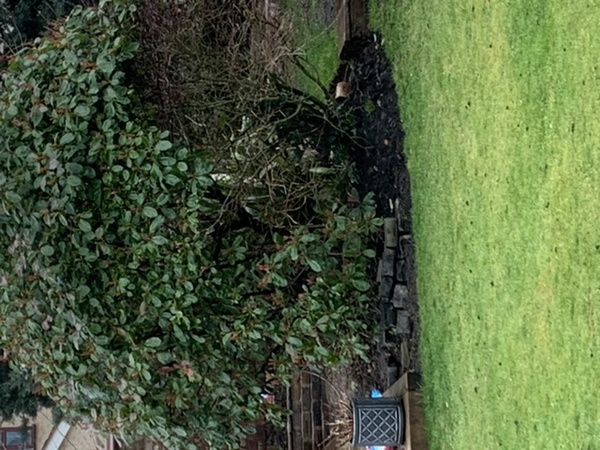 Can’t leave this soil like this right?