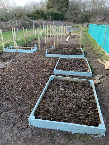 Allotment/Veg Patch Thread 15 - will winter ever end?