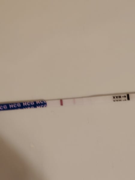 TTC after miscarriage - February 2020