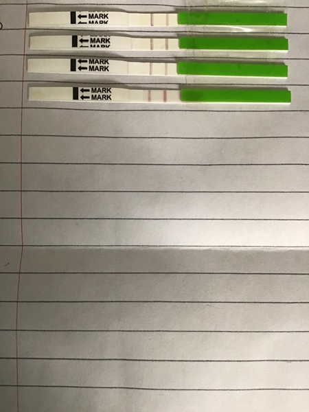 What do we think of this OPK, positive??