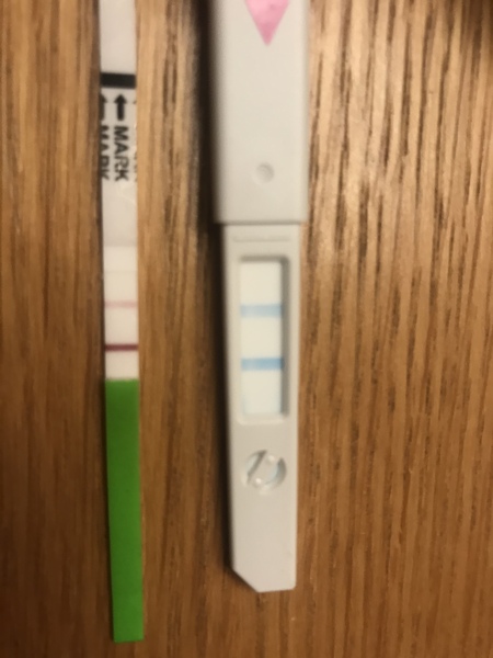 Best/easiest ovulation testing kits