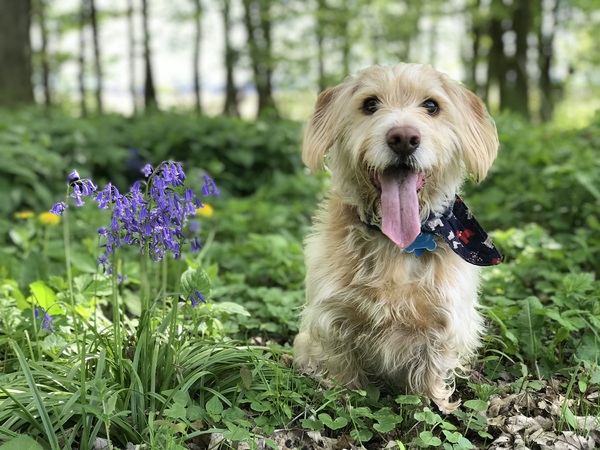 Show Us Your Pets!