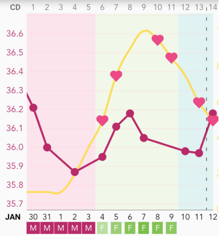 TTC after miscarriage - February 2020