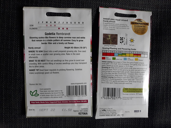 When to start seeds in a greenhouse?