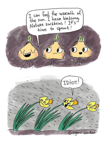 To think that daffodils are a bit thick really?