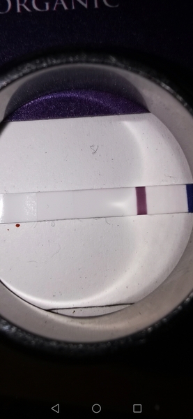 Pregnancy test