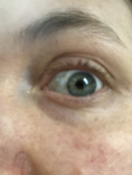 Eye brow/lash intervention needed! Tint?
