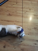 Frugal Friends Finding Financial Freedom In February