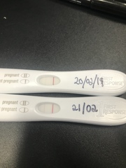 7-8dpo