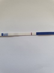 £1 freedom pregnancy tests...